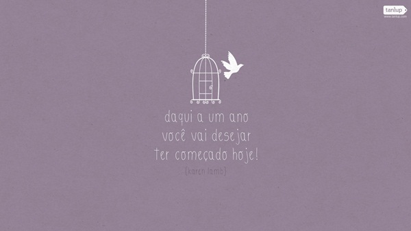 The Fast and the Furious 2001 BRRip 720p Dual Audio In