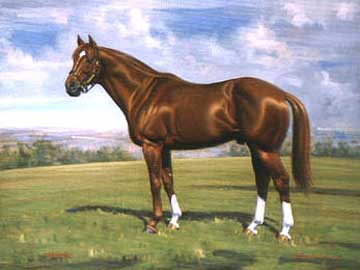 Secretariat Coloring Pages