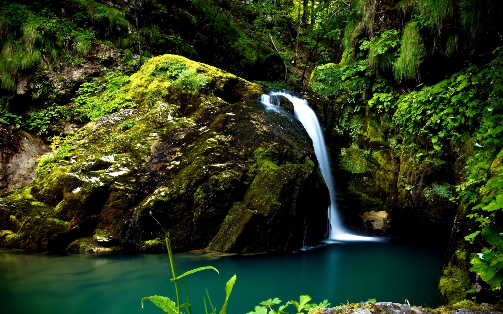 Rain Forest Waterfall Rain Forest Waterfall