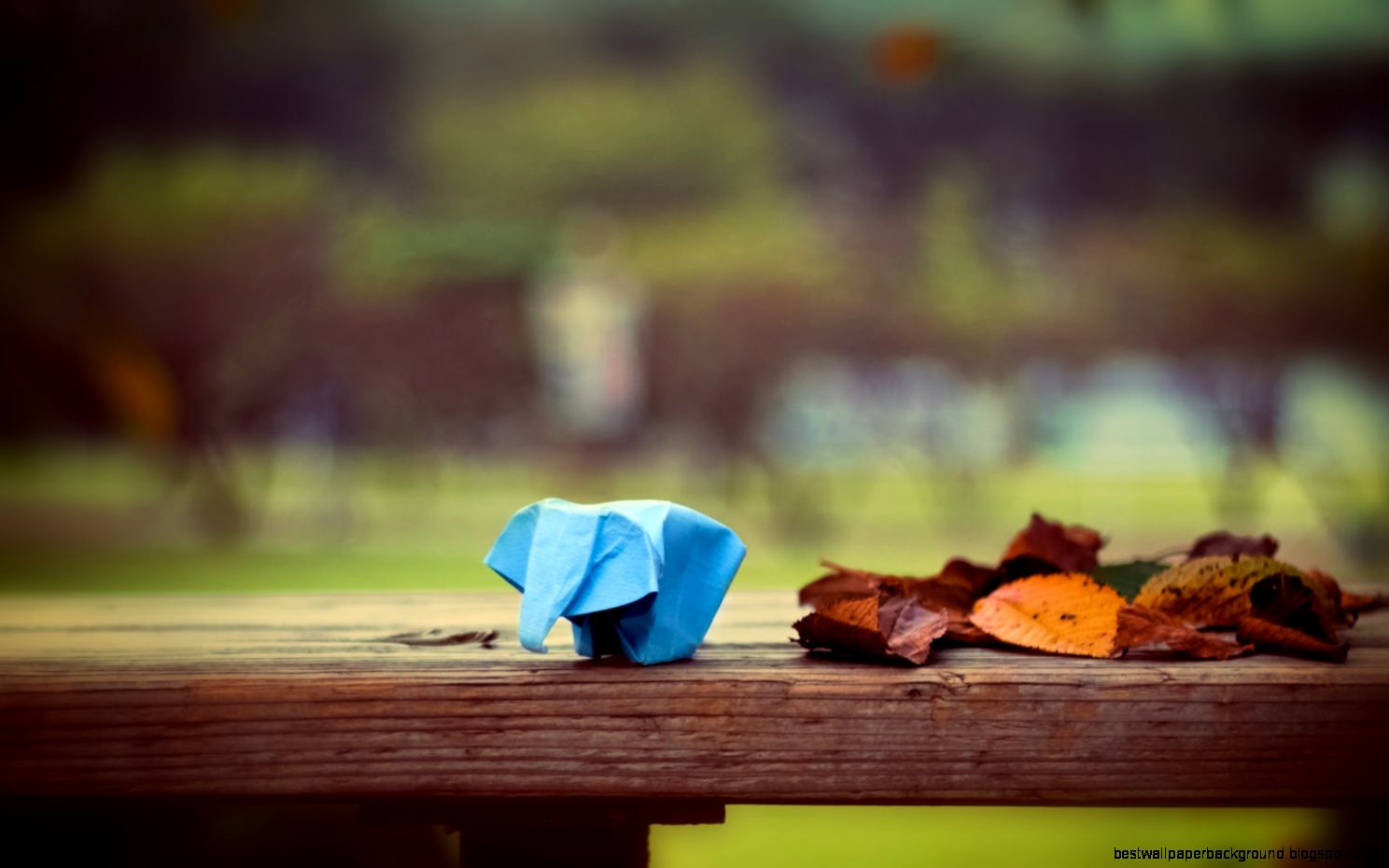 Download Free HD Wallpapers Download Free HD Wallpapers