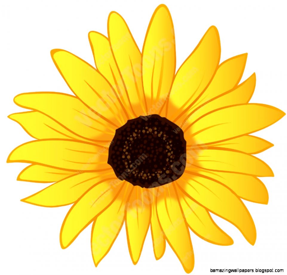 Sunflower Vector Art ClipArt Best Sunflower Vector Art ClipArt Best