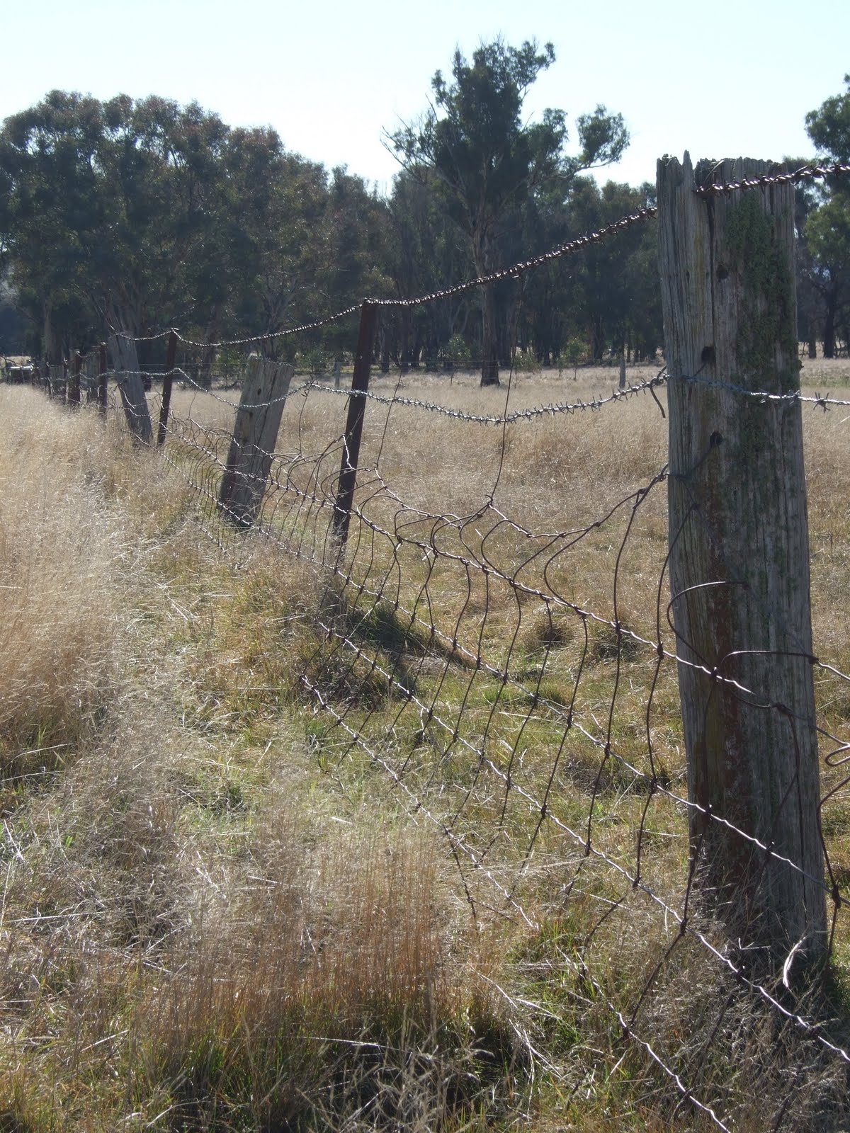 K T 's Farm Life Falling Down Fences