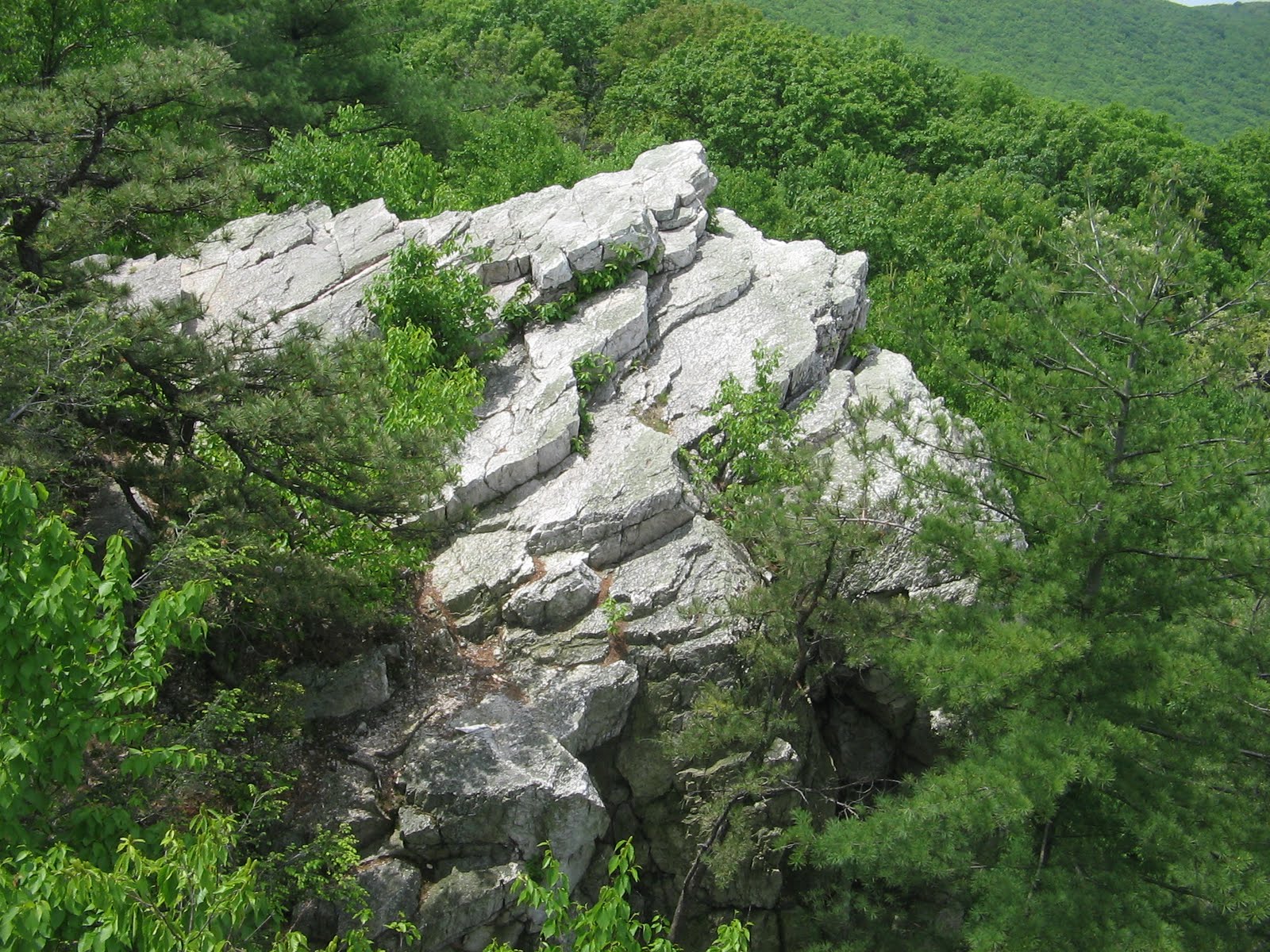 portengaround Collecting Rocks in the Appalachian Mountains (Part 4)