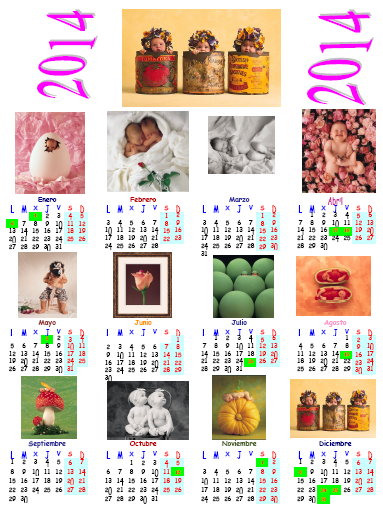 https://www.dropbox.com/s/110rfb6l4kp3zgk/CALENDARIO-bebes-2014-free-printable.pdf