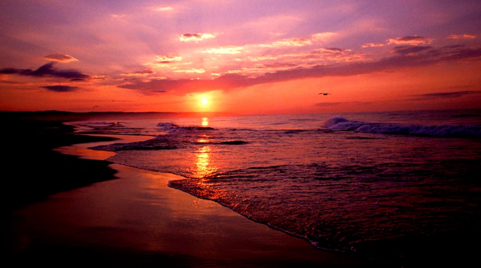 Beach Sunset Beach Sunset