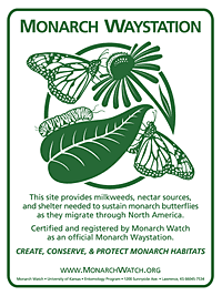 Plant a Garden for Monarchs