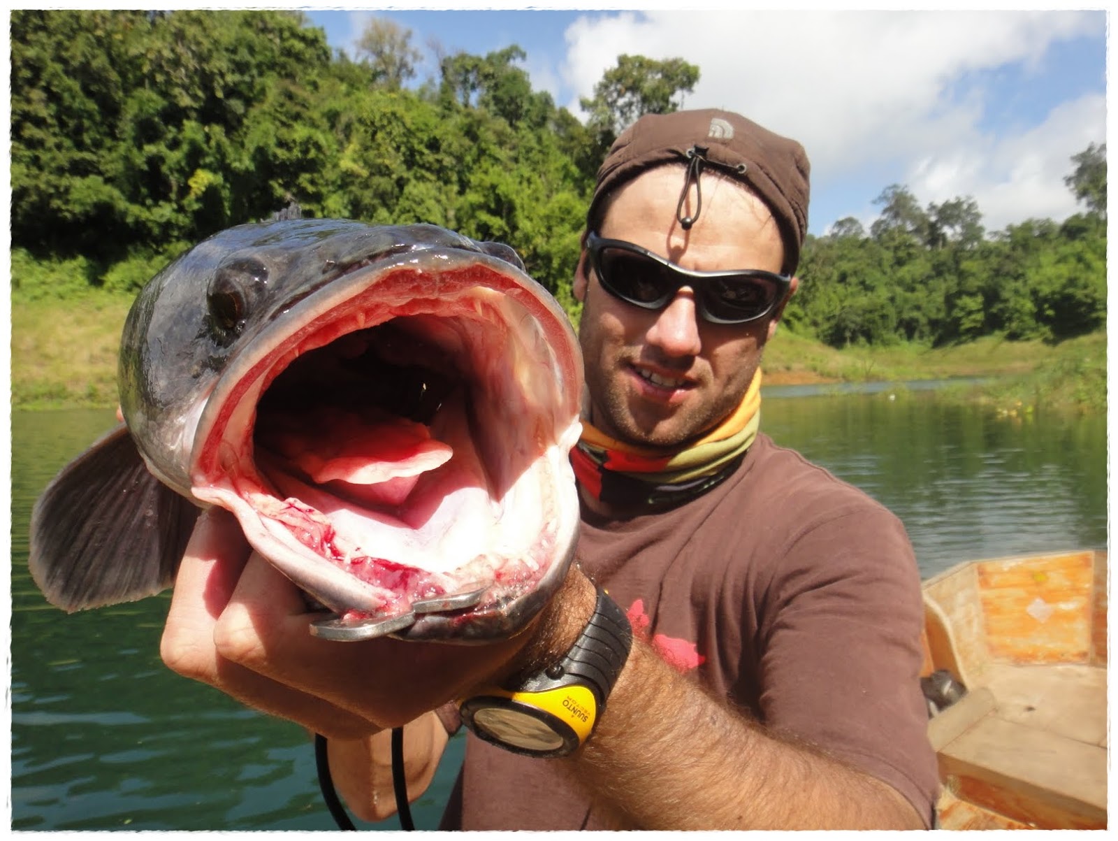 Gambar Ikan Toman - Animasi Korea Meme Lucu Emo Bergerak