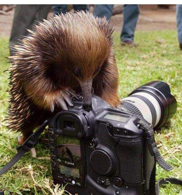 Photographers And Their Subjects
