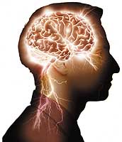 cerebro_01.jpg