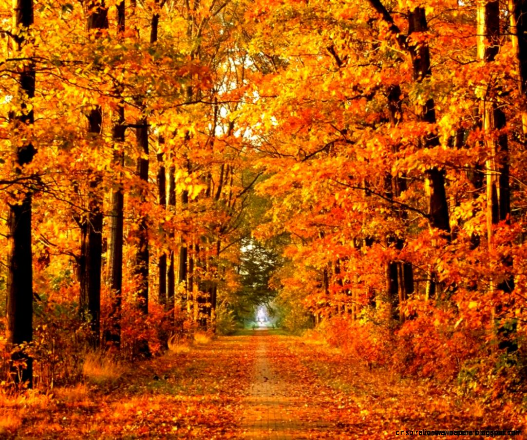 windows autumn wallpaper images windows autumn wallpaper images