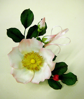 �������-����������� ������������ �������: ������� , ������, ���� ����������