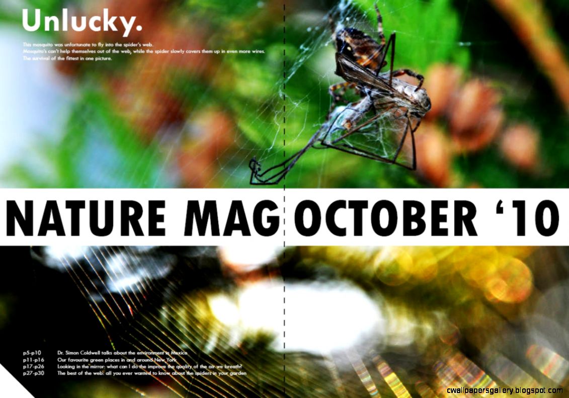Nature Photography Magazine Nature Photography Magazine
