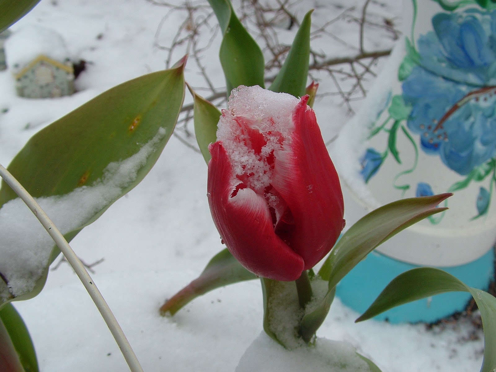 Share Our Garden!