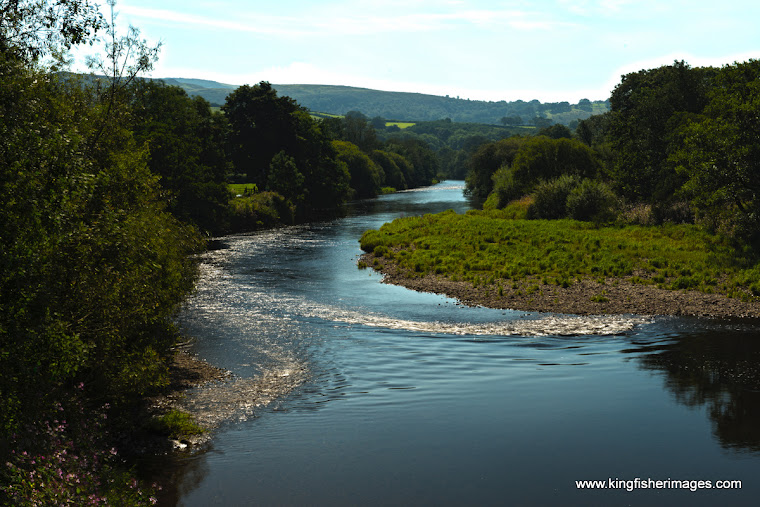 The River Towy