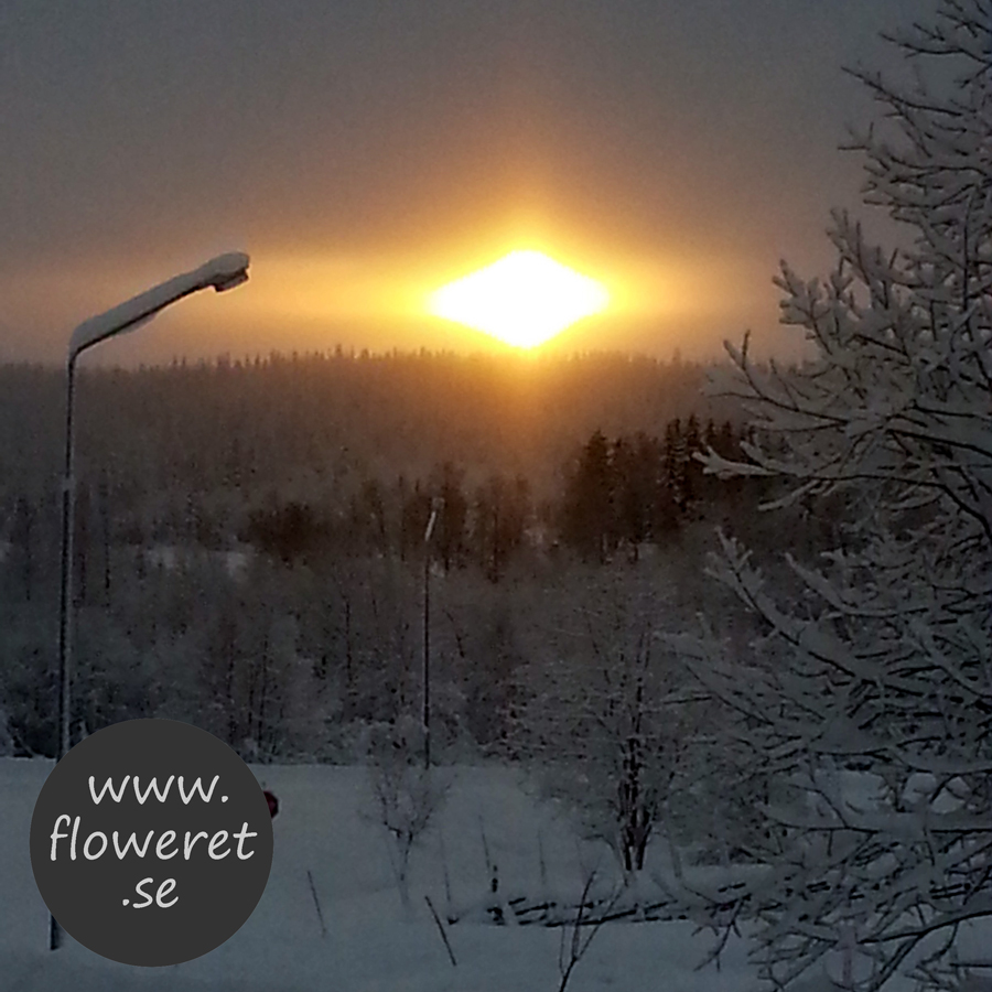 Mulet och kallt januari Februarisol