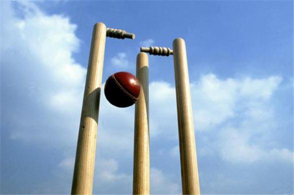 Cricket Win