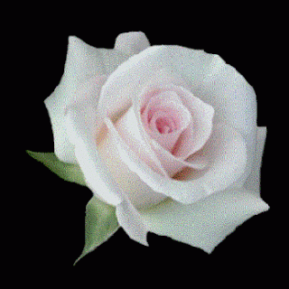 ���� ���� ������ �� ���� ������