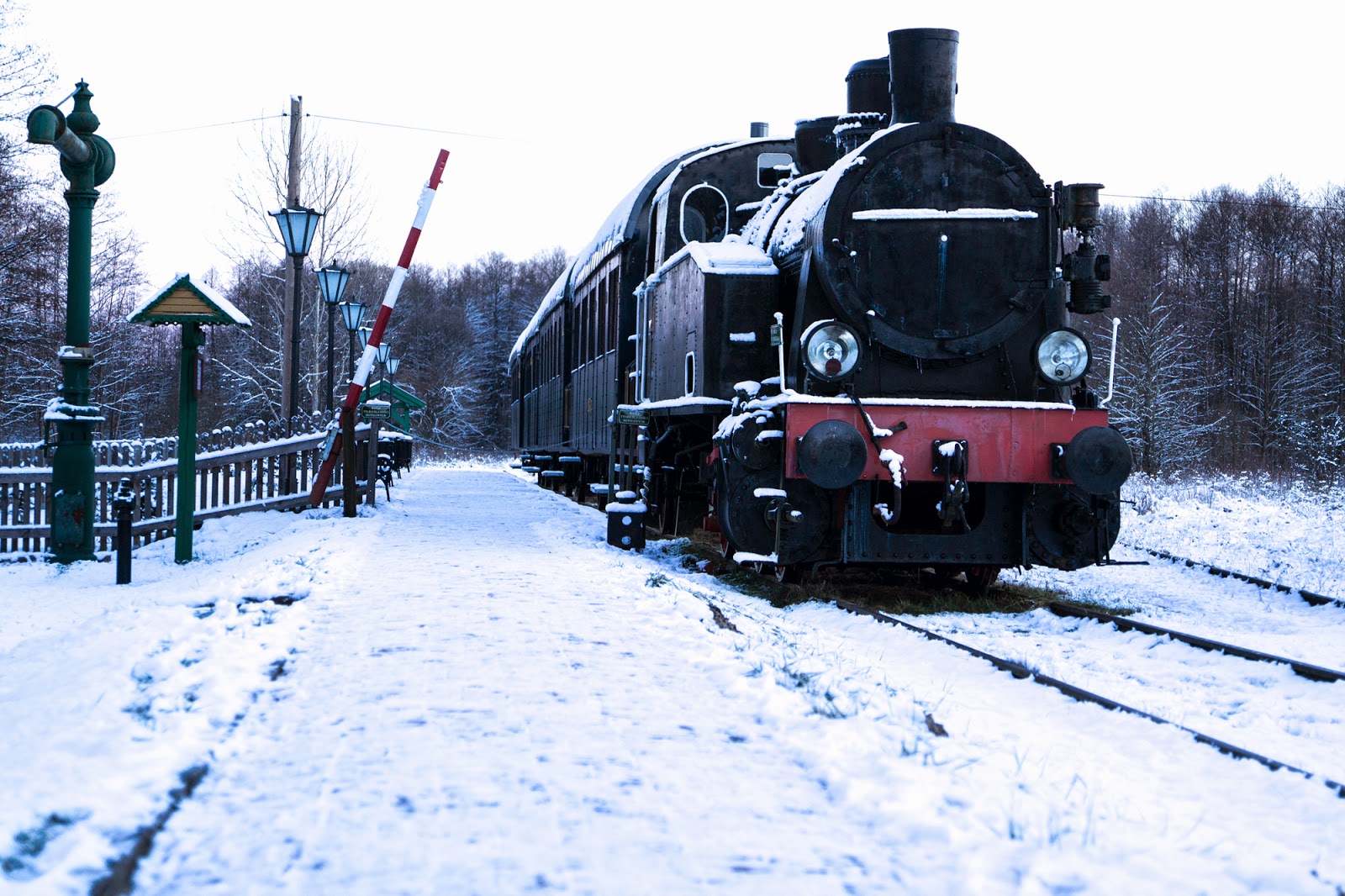 Gwiazdka w Puszczy - Ania w Podróży