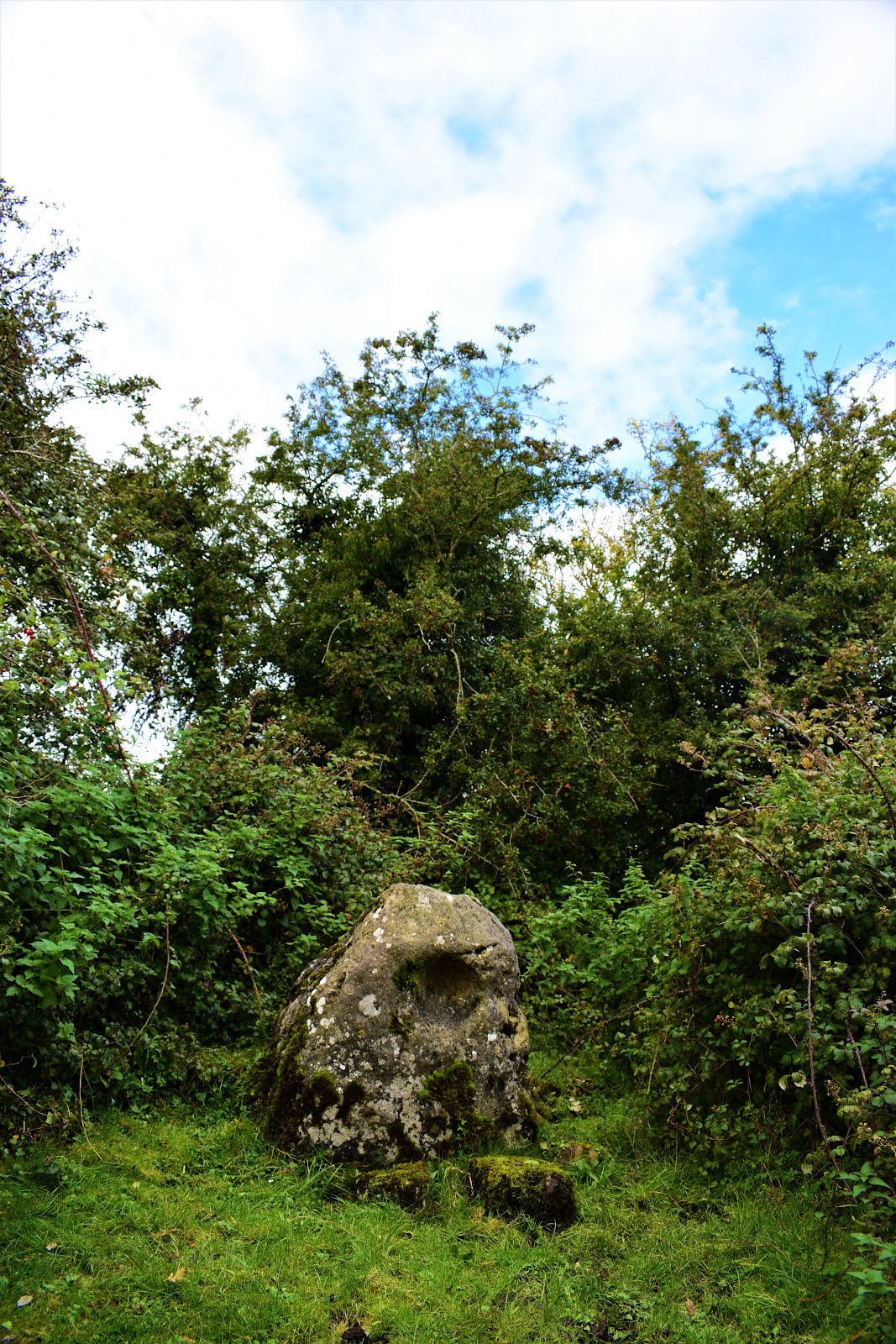 Saint Brigids Stone