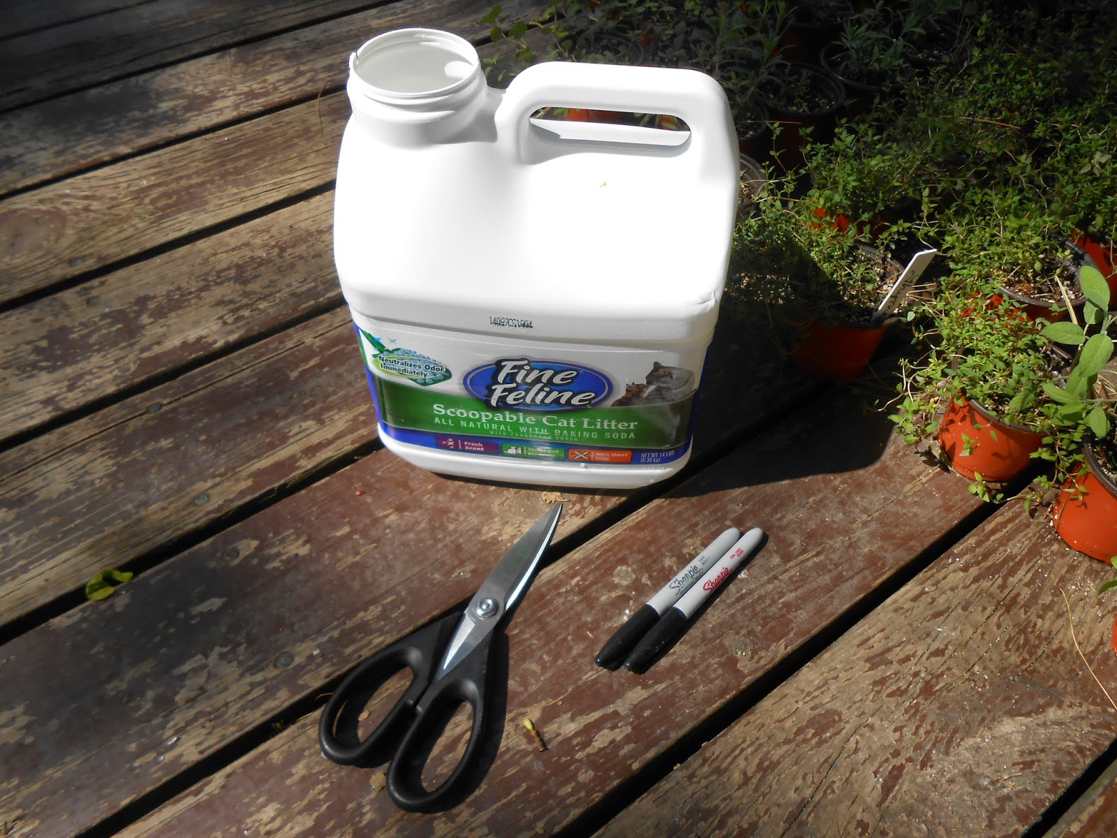 Sproutsandstuff Kitty Litter Jug Equals Free Plant Tags