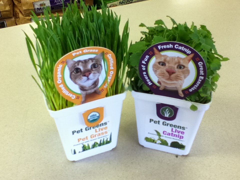 Your Neighborhood Pet Stores New items this week. We have fresh cat
