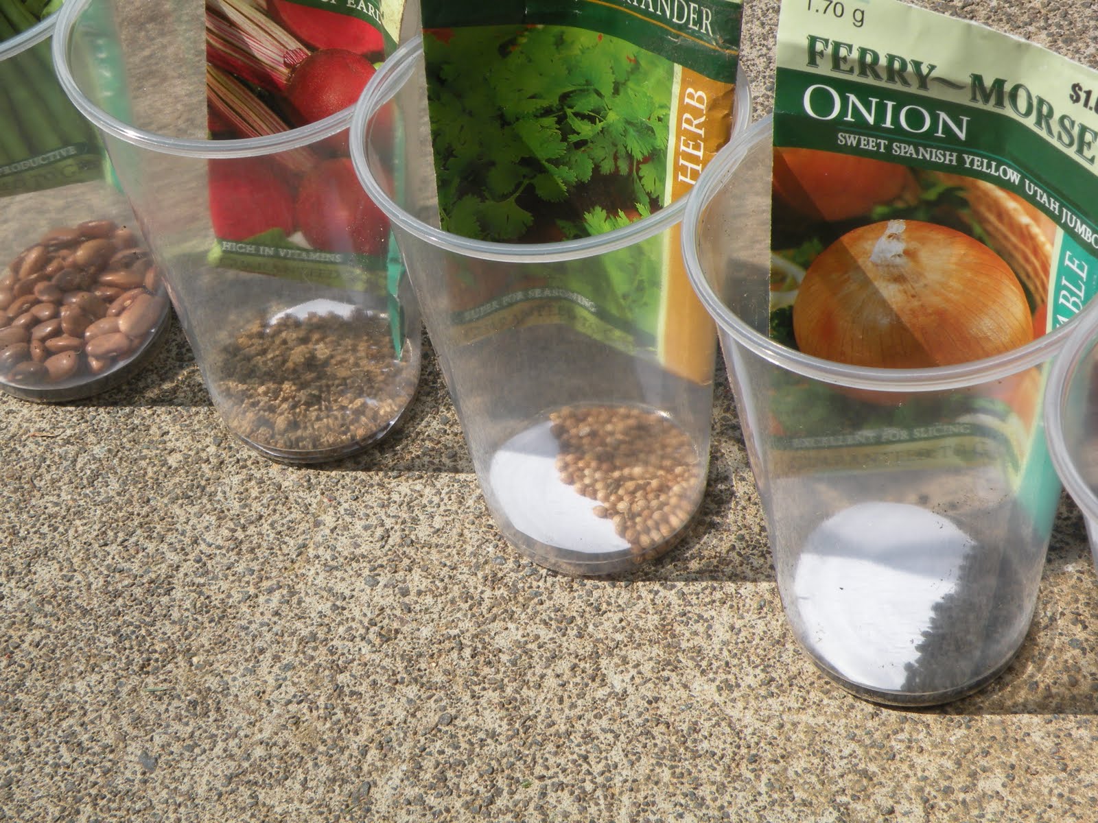 Toddler Approved! Seed Sorting and Identification