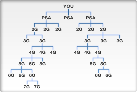 Match Chart