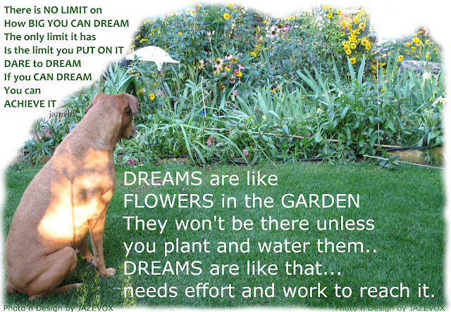 dare to dream and reach for your dreams ambitions goals in life like flowers in garden
