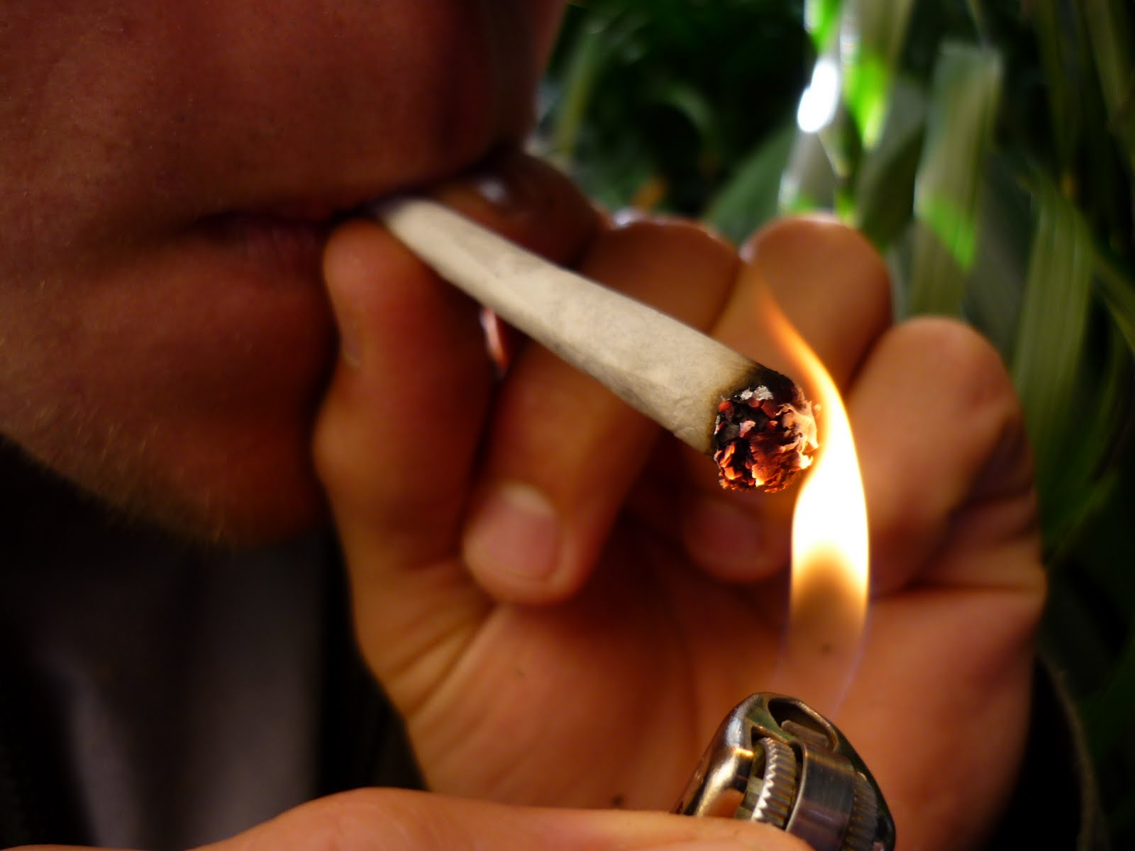 Quero deixar de fumar uma grama