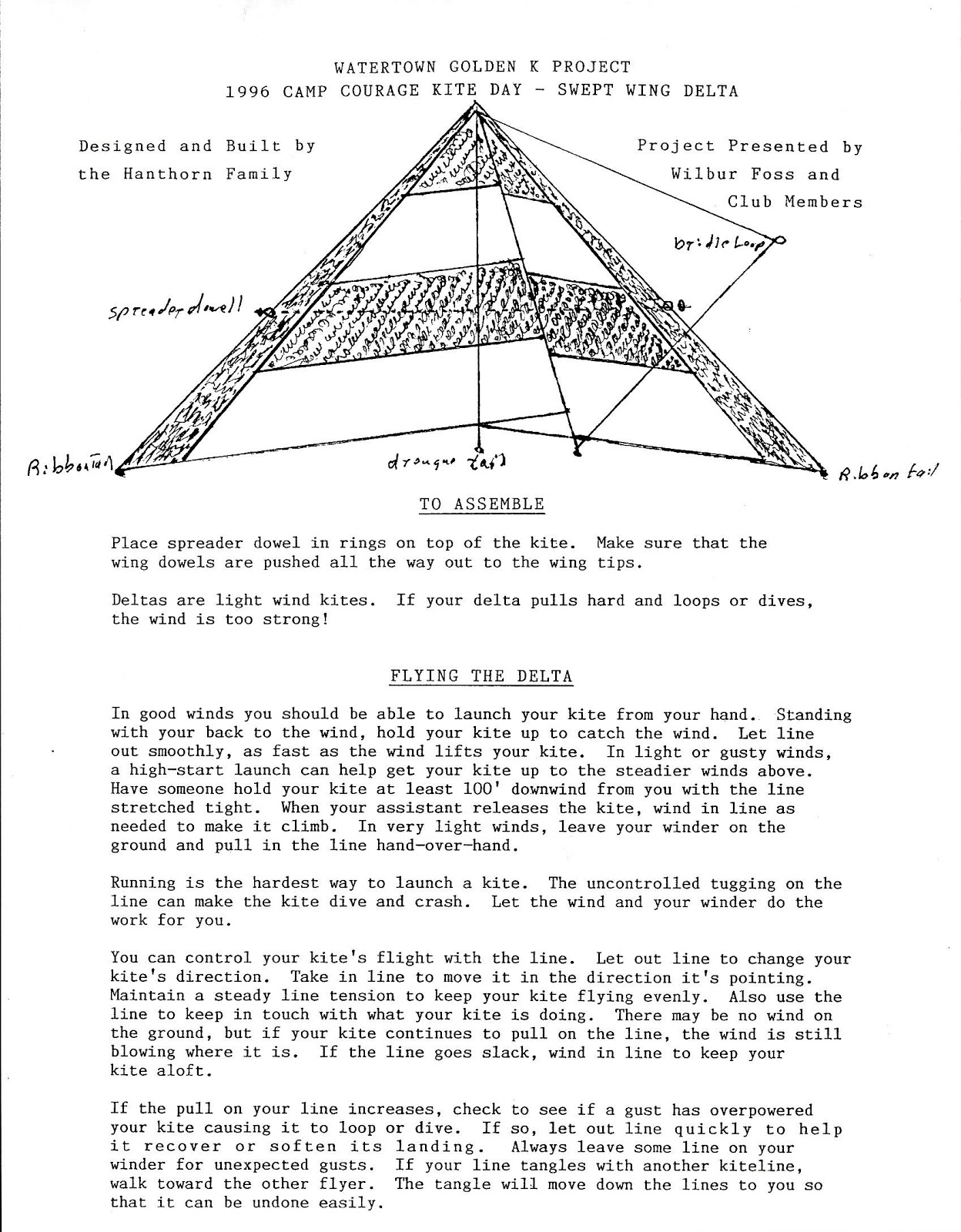 If i were a fly image