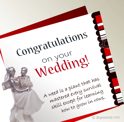 All About Wedding Information Wedding Wishes Quotes
