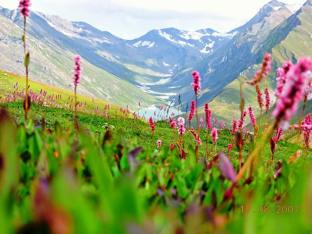 Valley of Flowe...