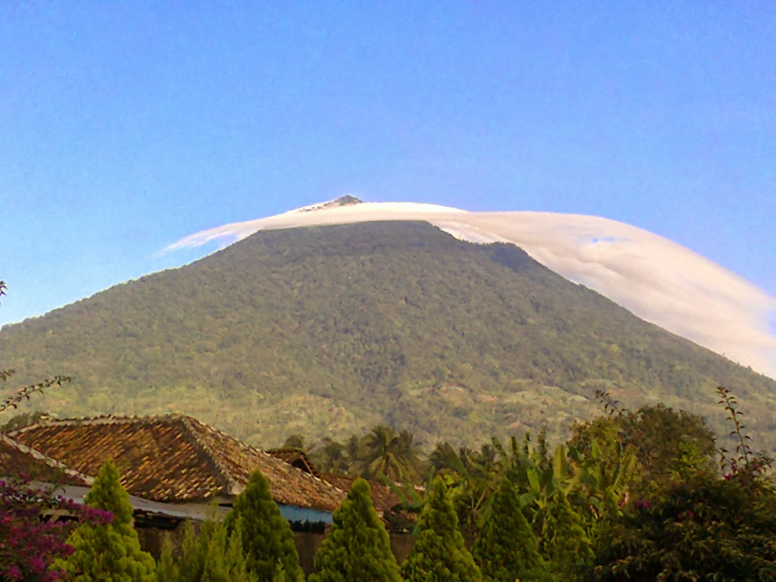 Daerah Tanggamus: Dibalik Pesona Gunung Tanggamus