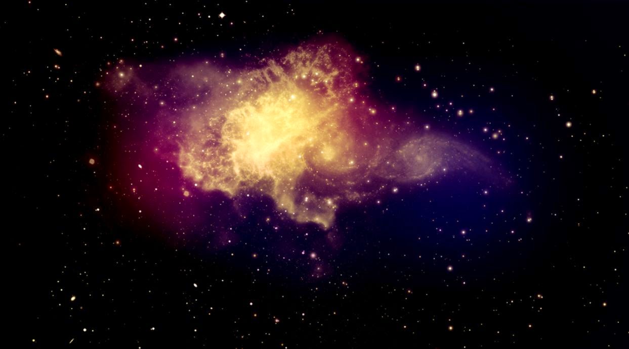 Cat with Galaxy Background Quotes Free Download Wallpaper