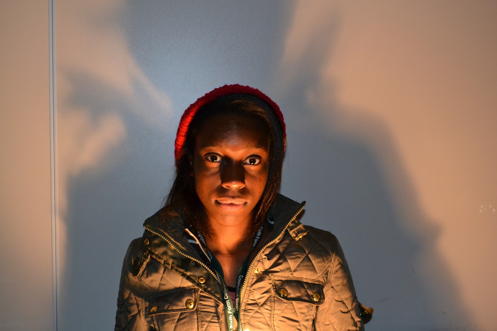 Bethanie's Photo Blog Light Portraits Using a DSLR Camera
