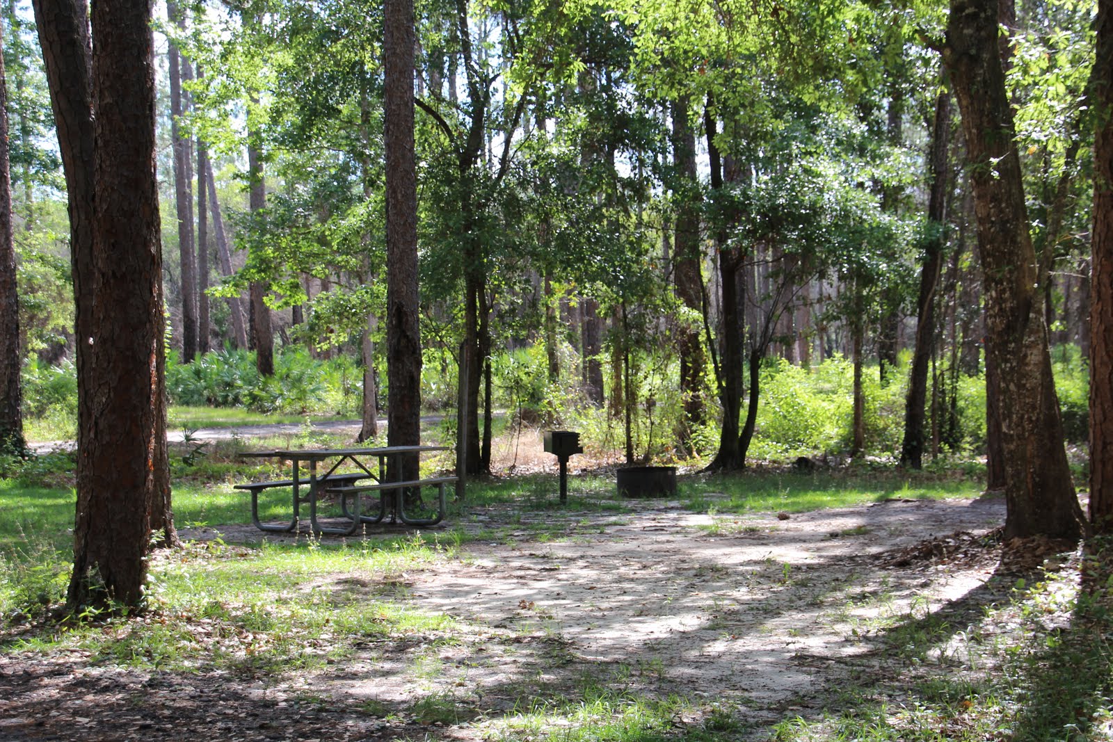 Operation Explorations REVIEW Apalachicola National Forest Florida
