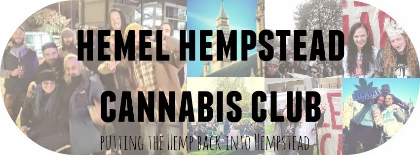 Hemel Cannabis Club Blog