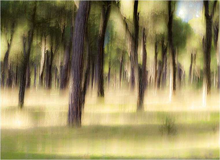 Compact Camera, Best Photo of the Day in Emphoka by Ramón Medina, Fujifilm X10, https://flic.kr/p/mE4qLn Compact Camera, Best Photo of the Day in Emphoka by Ramón Medina, Fujifilm X10, https://flic.kr/p/mE4qLn