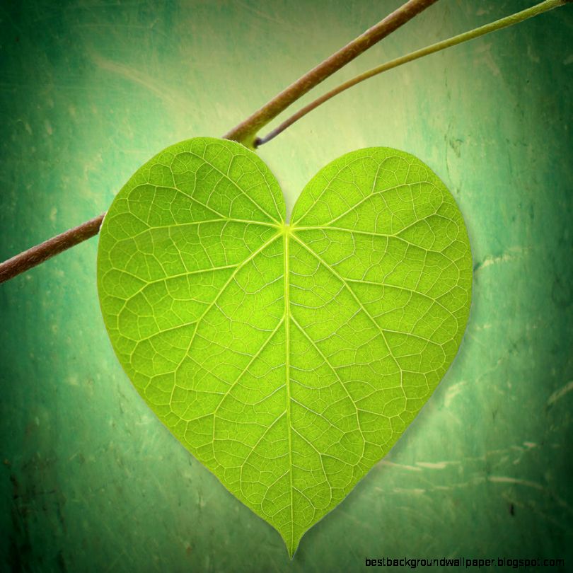 Heart Leaf Art — Crafthubs Heart Leaf Art — Crafthubs
