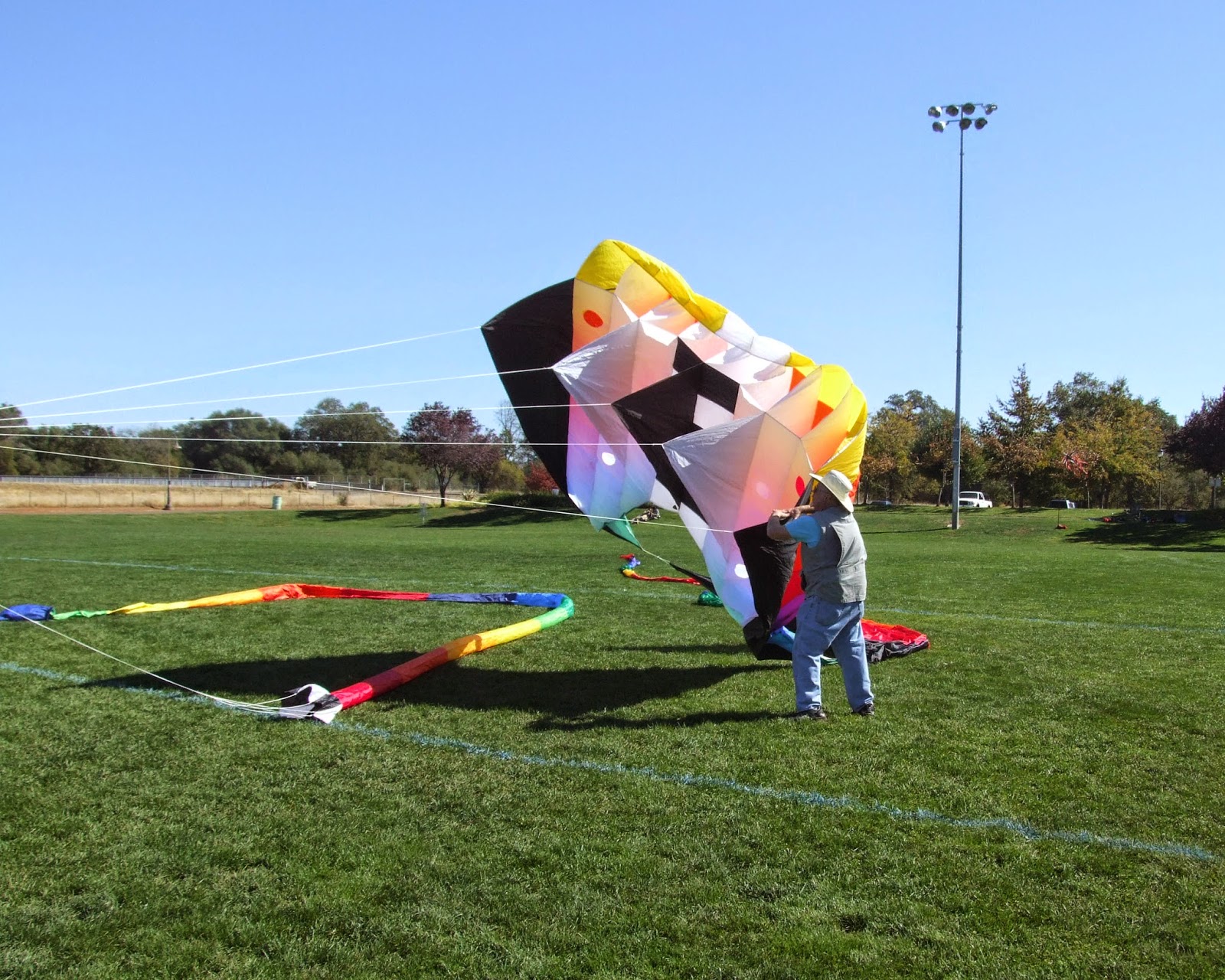 Tako Kichi (Kite Crazy) Is a Kite Festival on YOUR bucketlist?