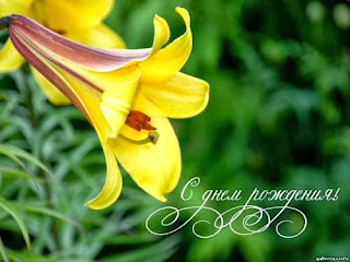 post406865_img1_76aa7ffd9ec757d7083ab2b4