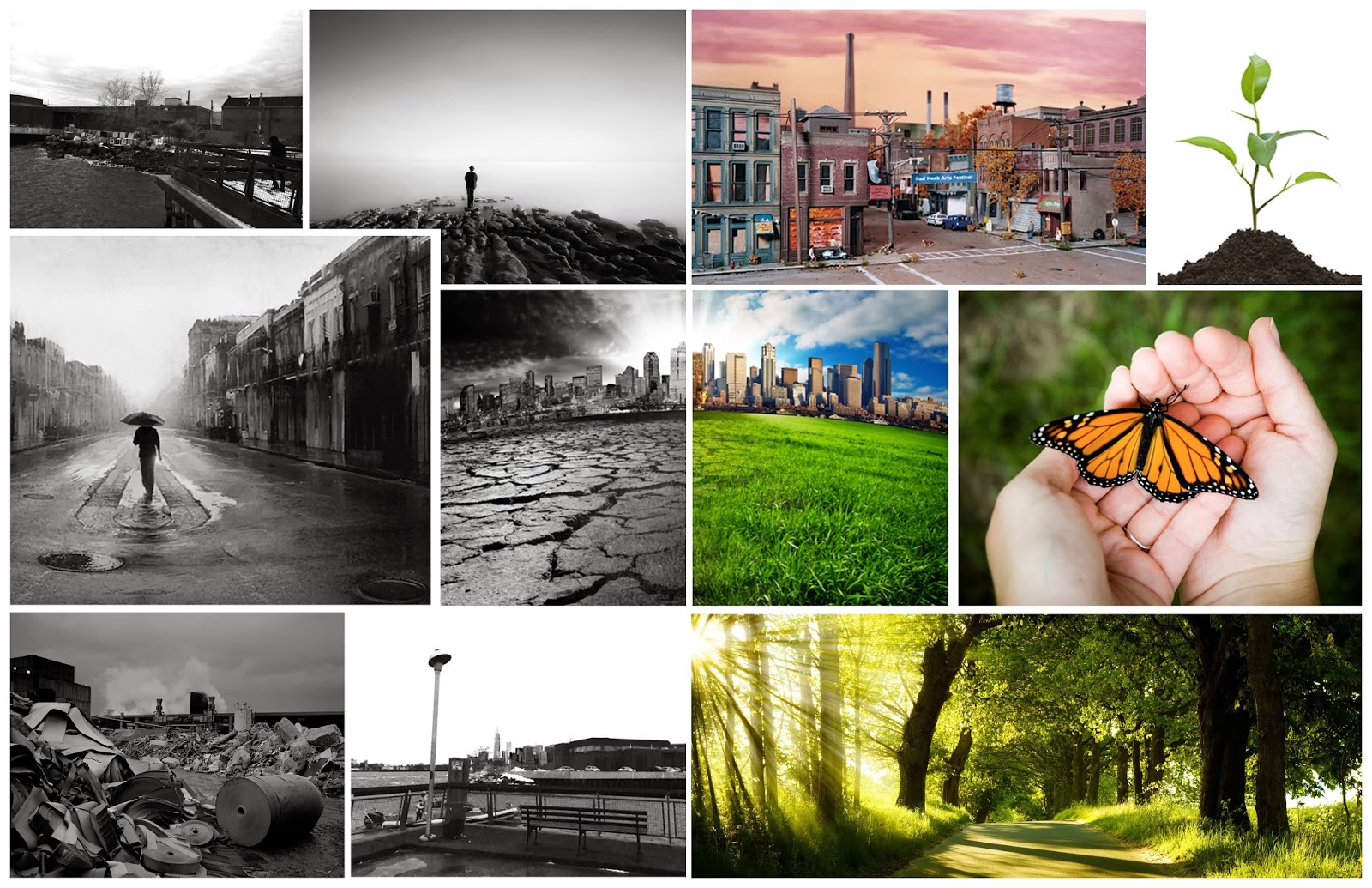 SPORTS COMPLEX by JOSE CAMPOVERDE Assignment 9, Part I Collage