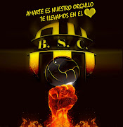 . Club Guayaquil Ecuador . Banco de Imagenes de Barcelona Sporting Club (barcelona sporting club idolo guayaquil ecuador afiche )