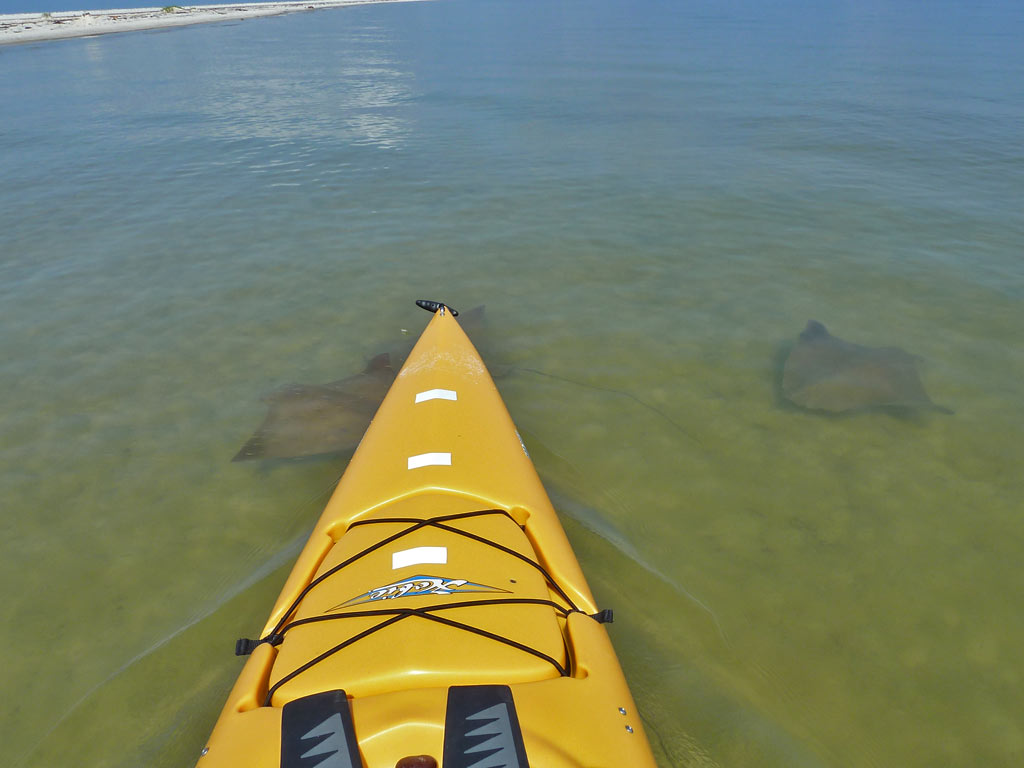 Kayaking the MobileTensaw River Delta 05/10/2011 Dauphin Island