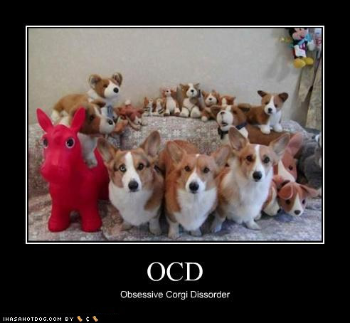 Lol Corgi