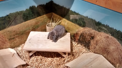 Mit Kind in Berlin Elternblog Backen mit Kind Runzelfuesschen Mit Kind in Berlin Elternblog Backen mit Kind Runzelfuesschen