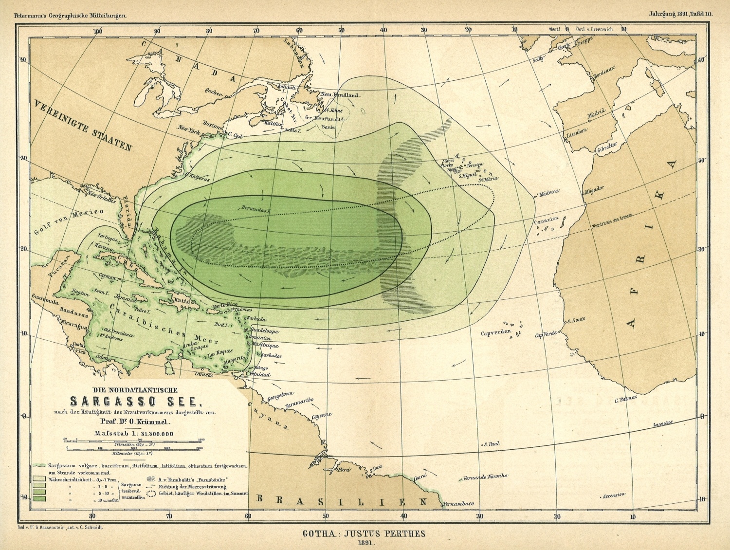 Voyage to the Sargasso Sea The Sargasso world's most mysterious sea