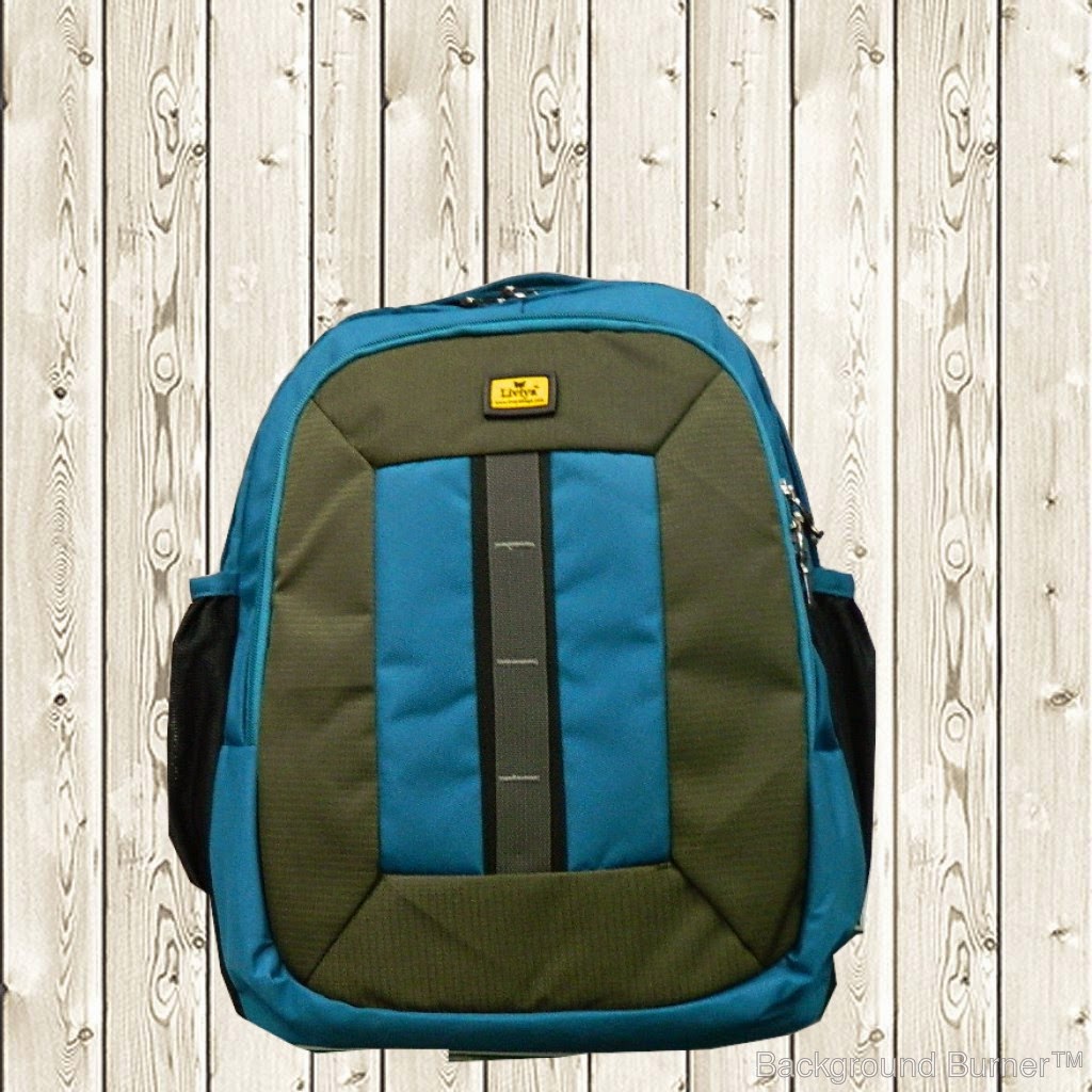 liviya school bags price