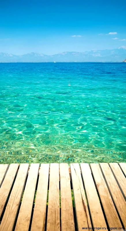 tropical iPhone 5s Wallpapers iPhone Wallpapers iPad wallpapers tropical iPhone 5s Wallpapers iPhone Wallpapers iPad wallpapers