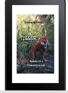 Tigger, Tigger the cat, memoir, cosmopolitan cat, Australia, adventure